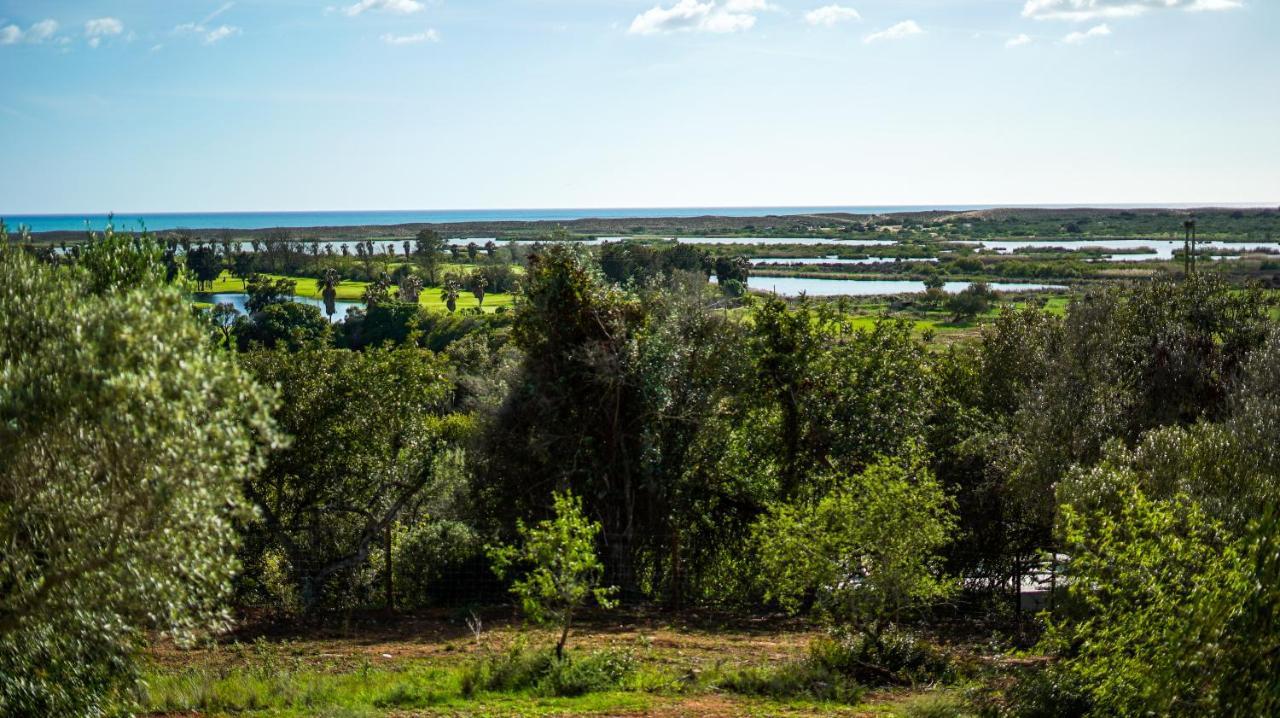 Quinta Da Felicidade, Casa Estrela ギーア エクステリア 写真